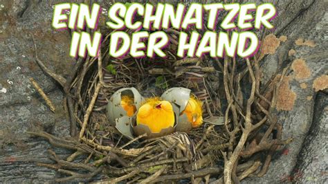 Ein Schnatzer in der Hand